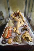 venerina museo di anatomia umana bologna 8-2022 4077